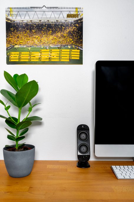 Ein Schreibtisch mit Computer, Lautsprechern, einem Topf pflanze und einem Wandkalender.